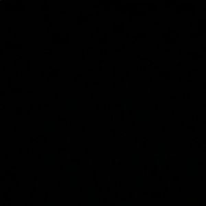 Meet your Posher, Ginny